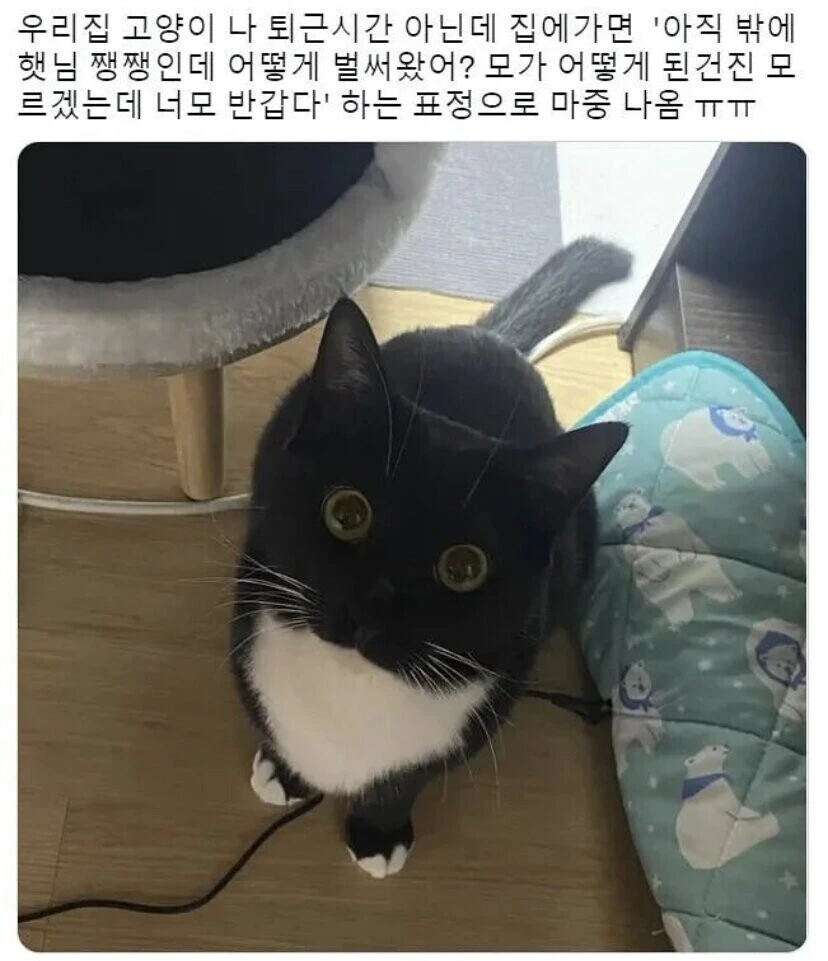 친구가 지각한 이유.manhwa 이미지 2