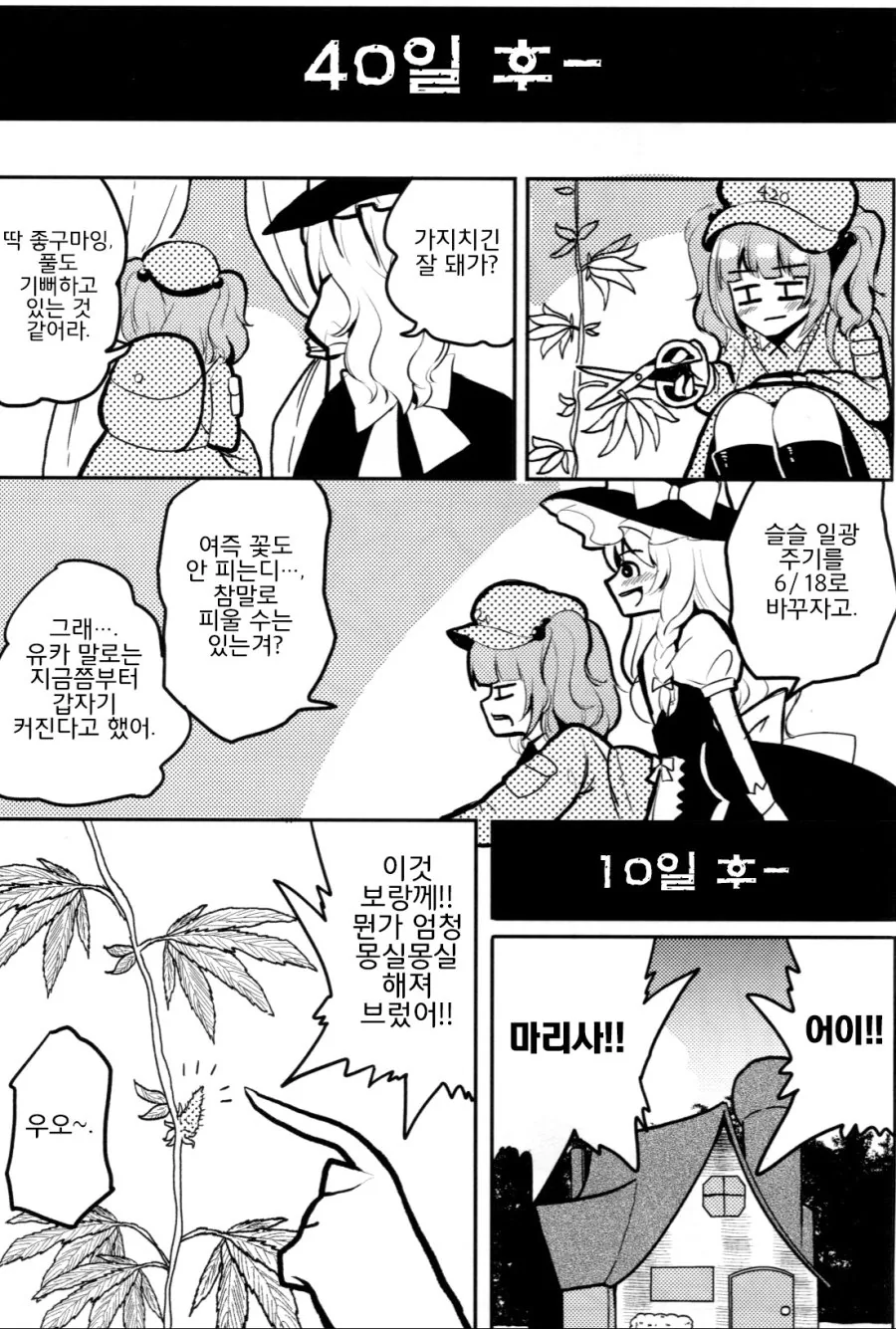 manga_423779_012.webp