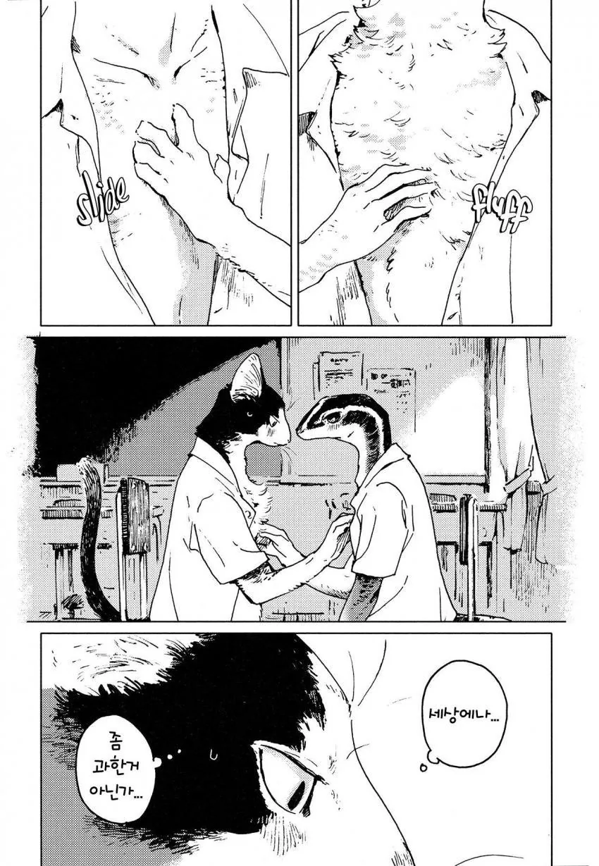 manga_1308157_014.webp