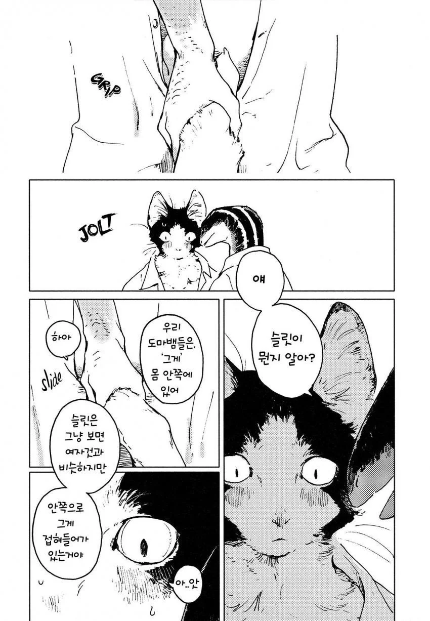 manga_1308157_016.webp