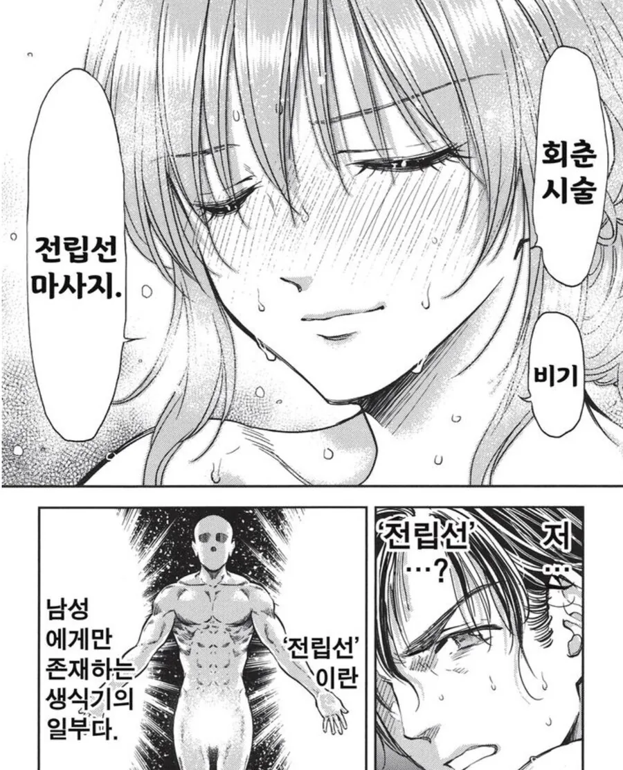 manga_2820144_010.webp