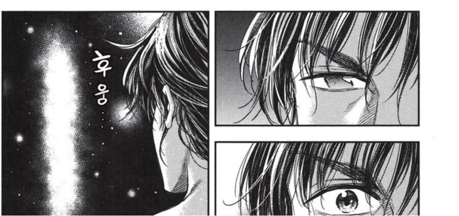 manga_2820144_011.webp