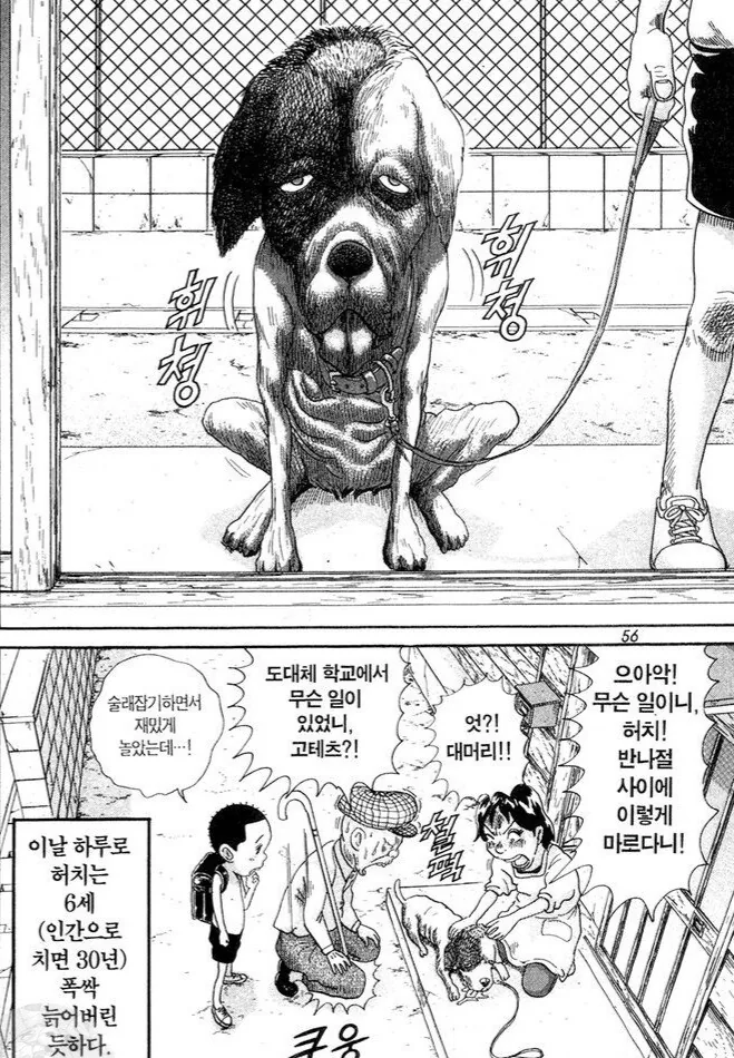 manga_1354760_005.webp