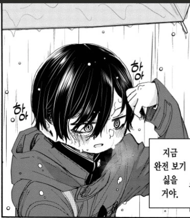 manga_3057307_002.webp