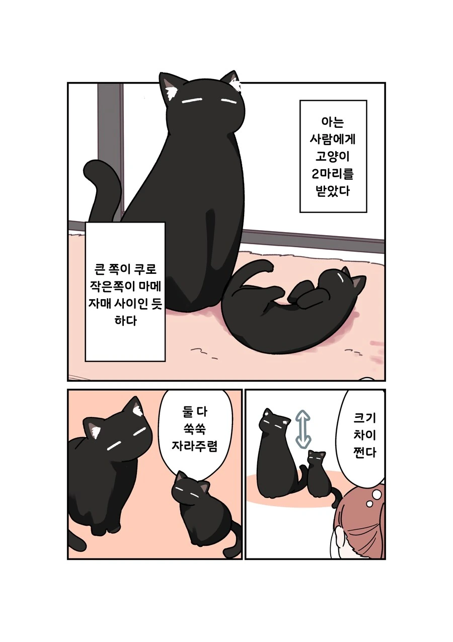 저 눈에 ㅇㄹ마귀가 꼈어.manhwa 이미지 2