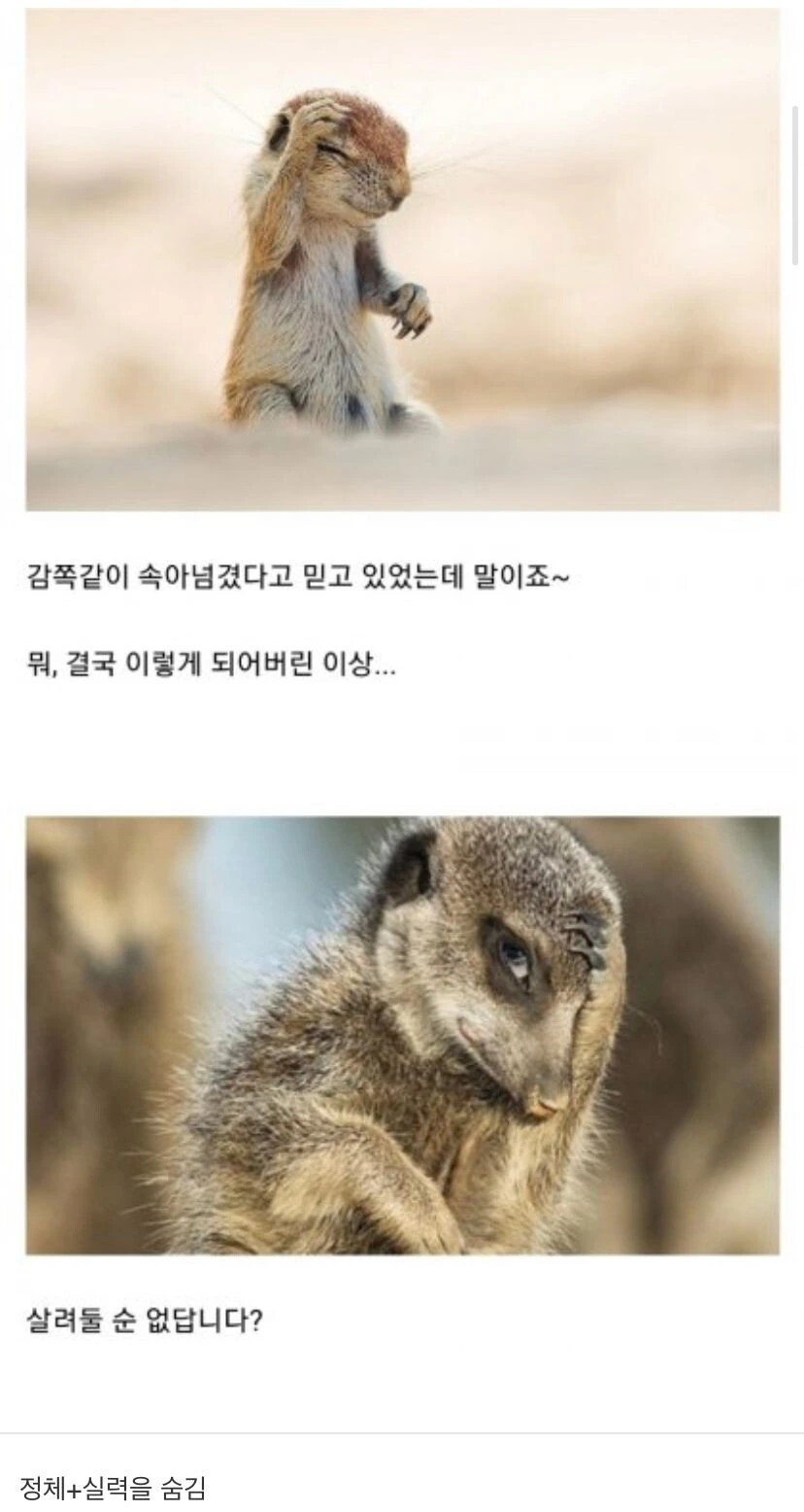 @) 히로오... 구급차 불러줘어... 대표 이미지