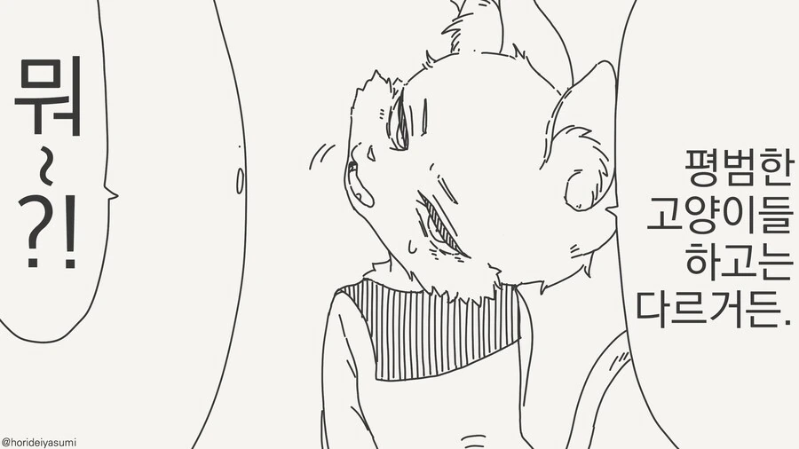 고양이 팡팡팡......manwha_2.jpg
