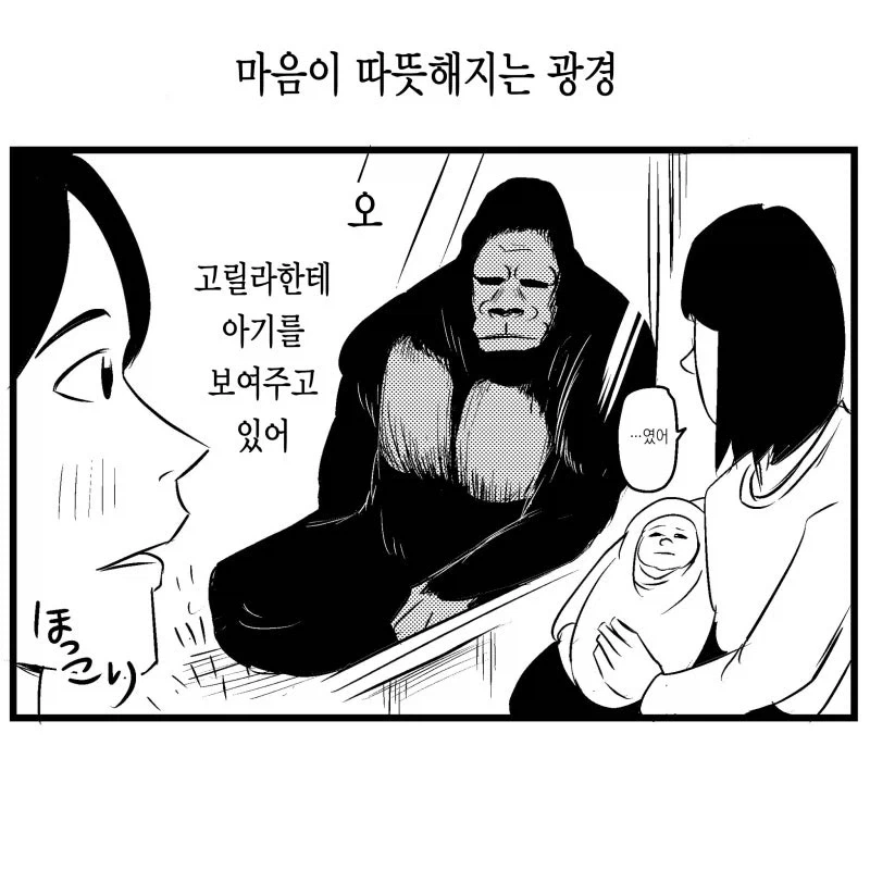 도랑에몽 그 핵폭탄좀 넣고 대화좀 하자 대표 이미지