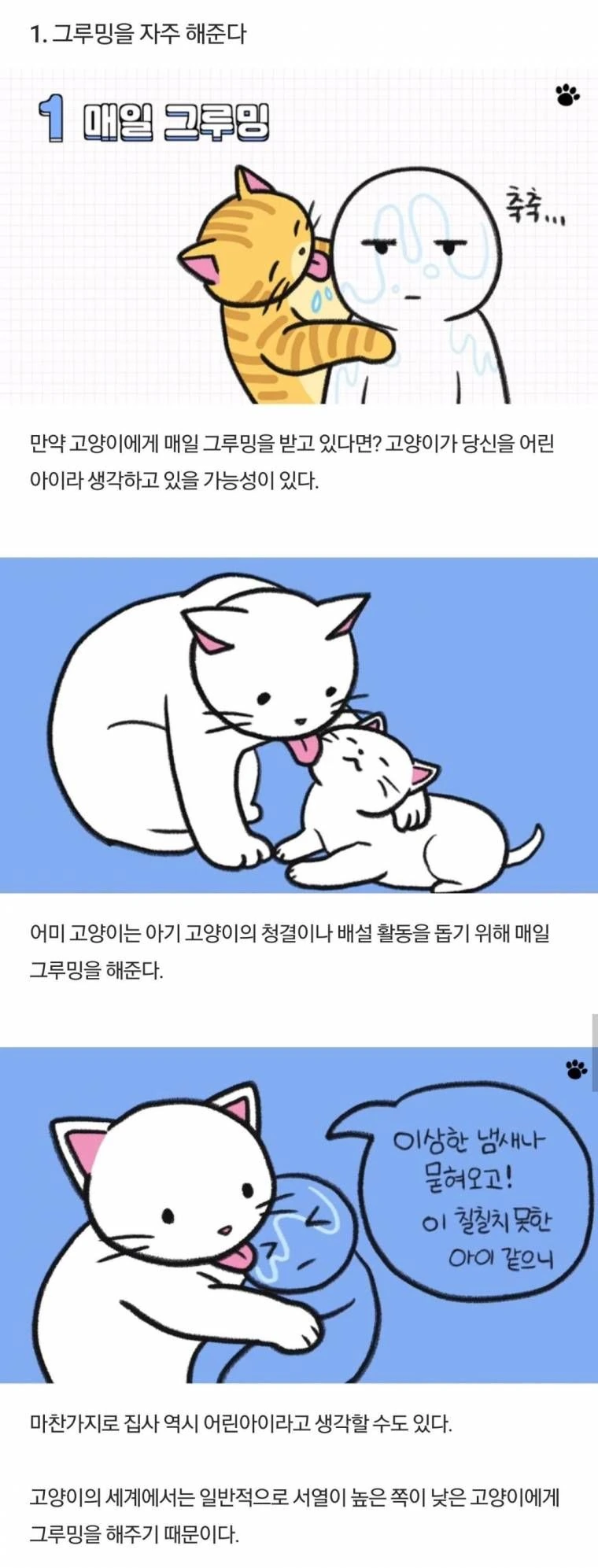 원피스) 차마 나쁘다고만 보기 힘들어진 장면 대표 이미지