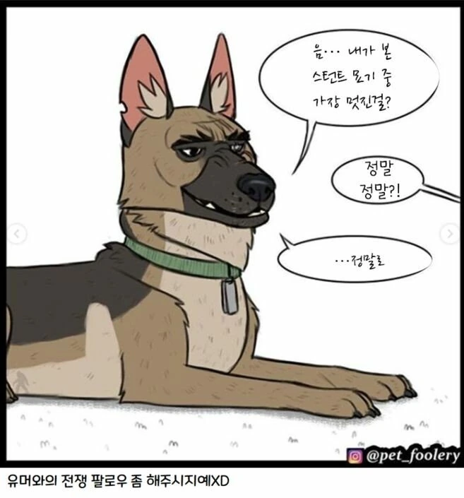 manga_1218211_009.webp