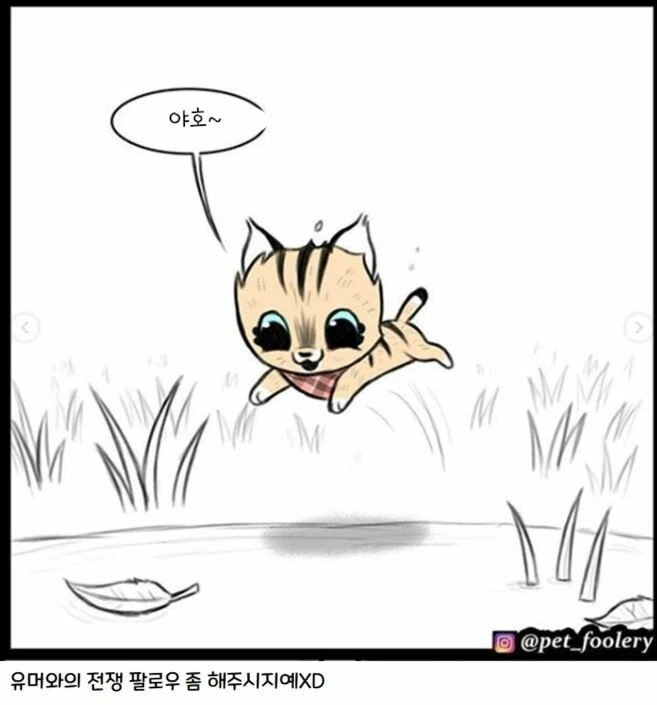 manga_1218211_016.webp
