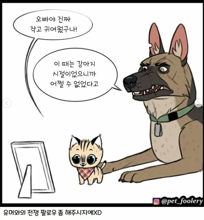 manga_1218211_019.webp