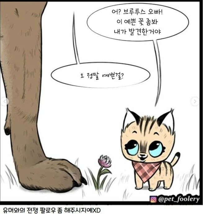 manga_1218211_027.webp