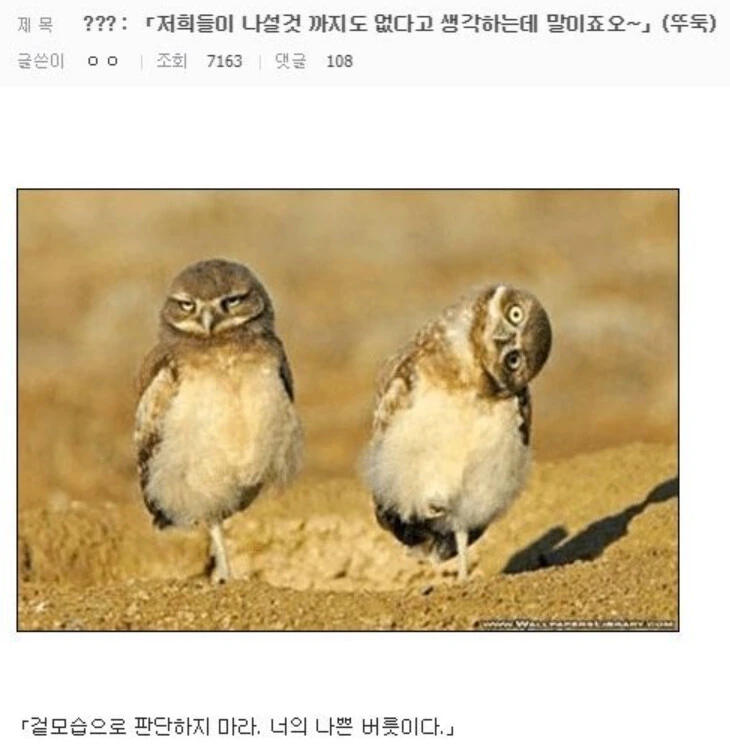 단다단) 작가가 그린 공각기동대 그림 대표 이미지