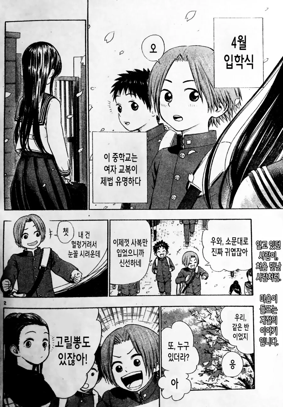 manga_2282383_003.webp