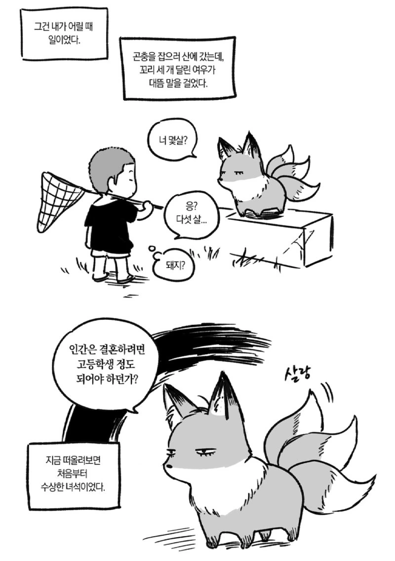 버튜버) 슈에이샤x홀로 히메모리 루나(책장의 100권을 무슨 만화로 채울 것인가) 대표 이미지