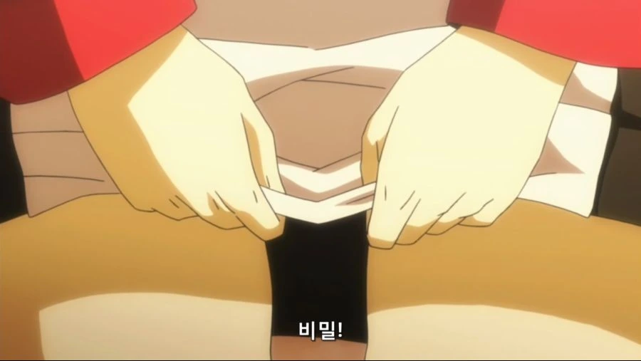 [Leopard-Raws] IS - Infinite Stratos 2 - 06 RAW (TBS 1280x720 x264 AAC).mp4_20191231_015240.144.jpg