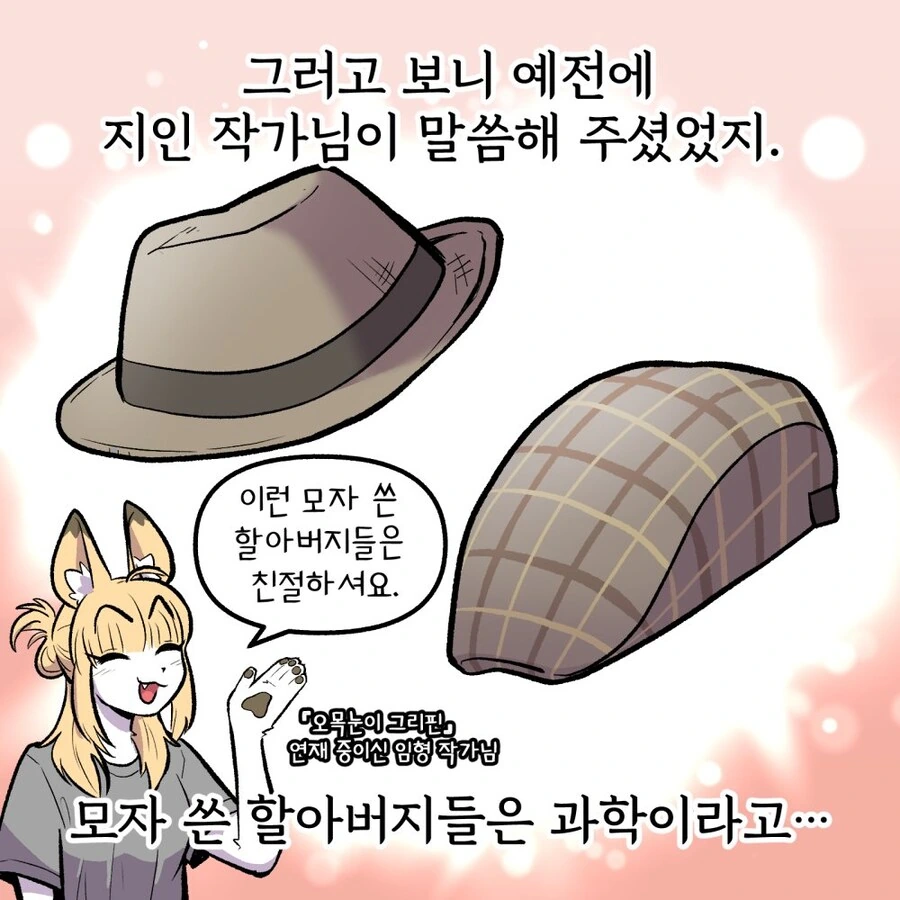 모자에 능력치가 달린.manhwa_3.jpg