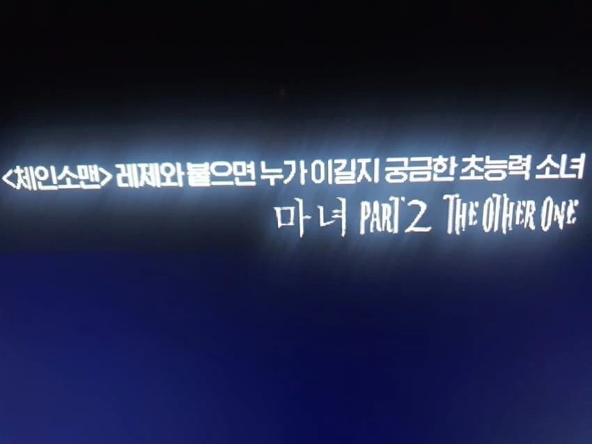 쌍둥이 남매 특징.jpg 이미지 2