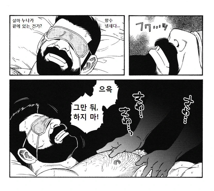 manga_1608164_013.webp