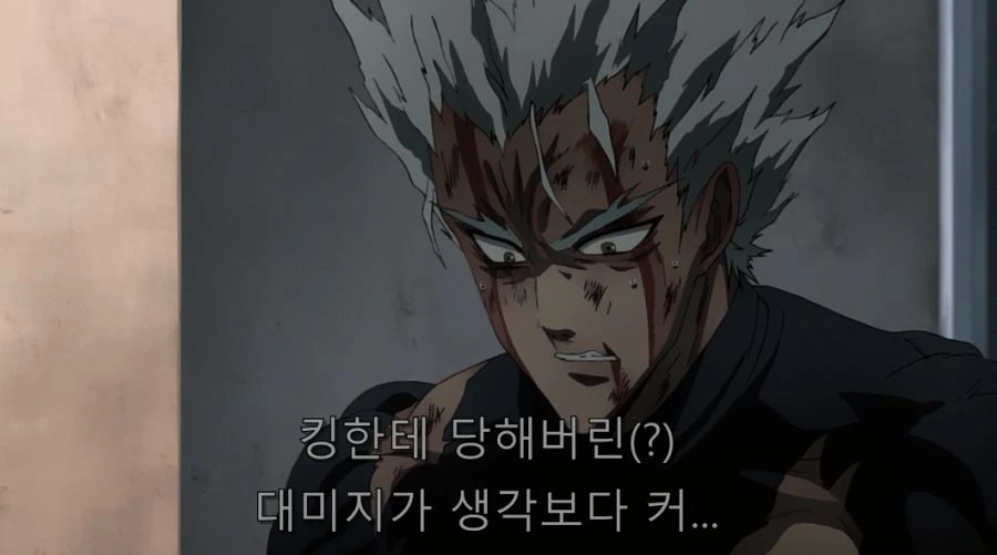 원펀맨) 킹에게 덤비는 가로우_19.jpg