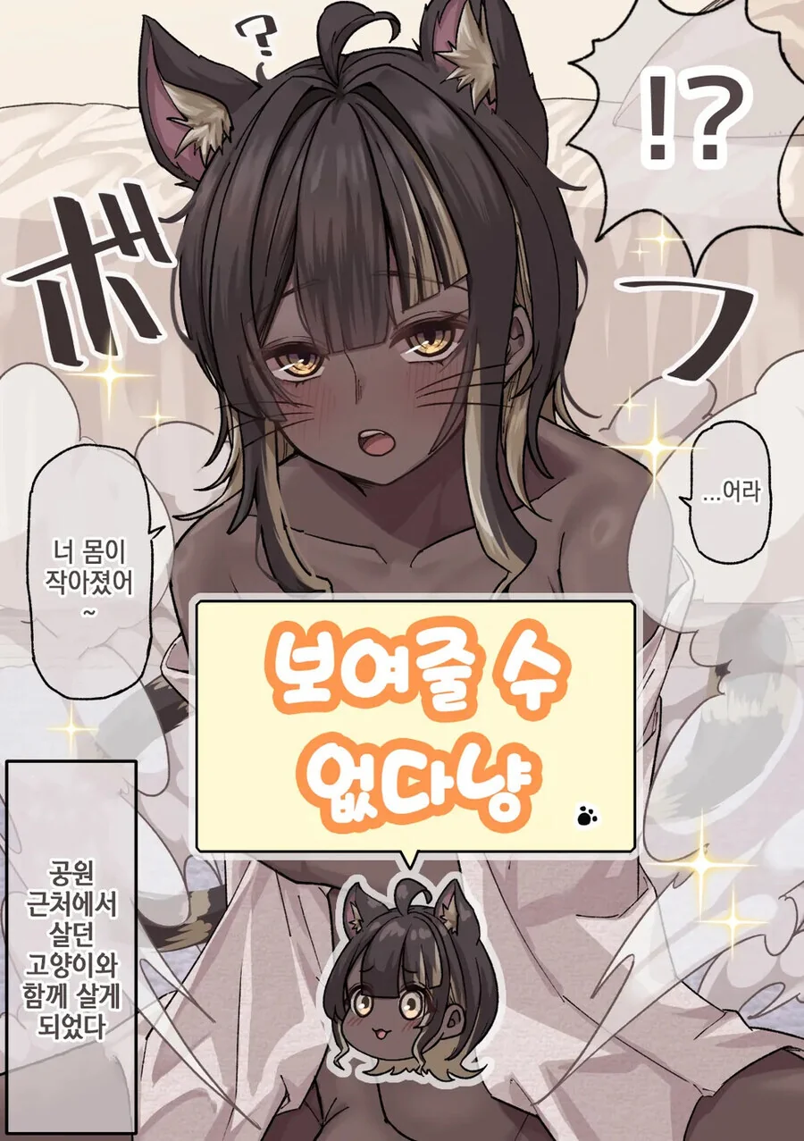 미소녀로 변신할 수 있는 고양이 .manhwa_3.jpg