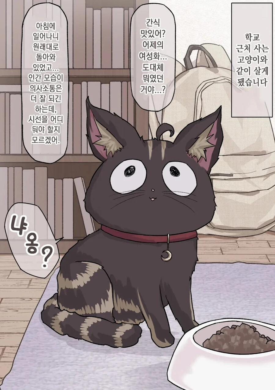 미소녀로 변신할 수 있는 고양이 .manhwa_4.jpg