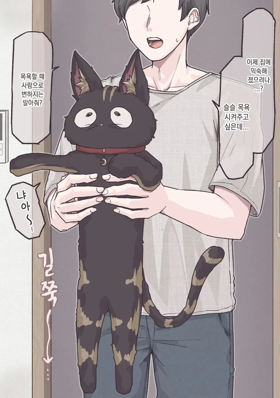 미소녀로 변신할 수 있는 고양이 .manhwa_6.jpg