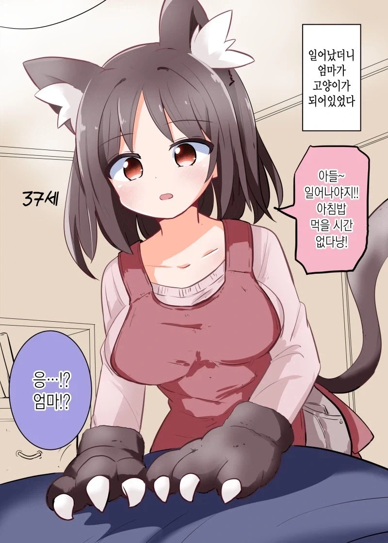 메스가키 아줌마 대표 이미지