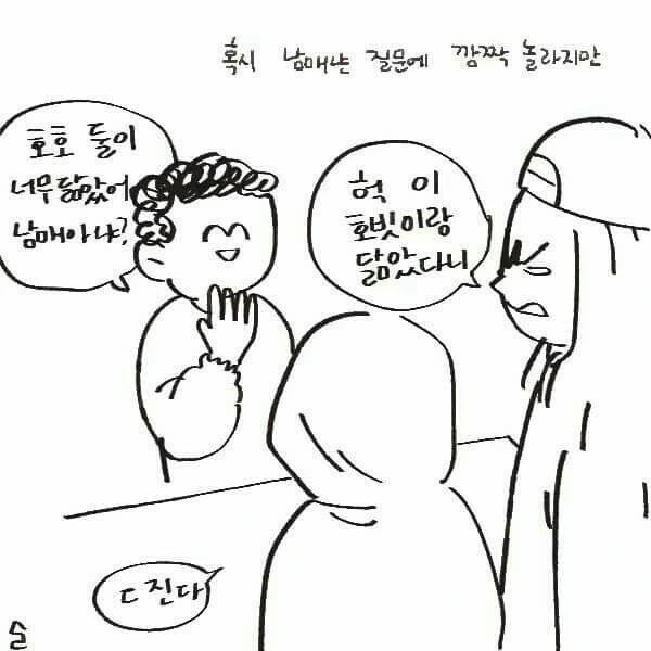 manga_928823_011.webp