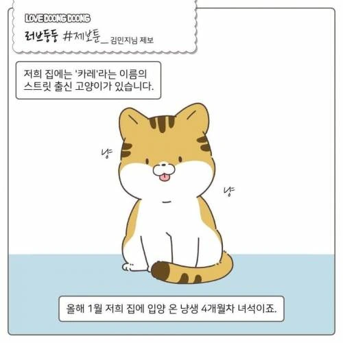 에반게리온) 카오루가 호모가 아닌 세계선.manga 이미지 5