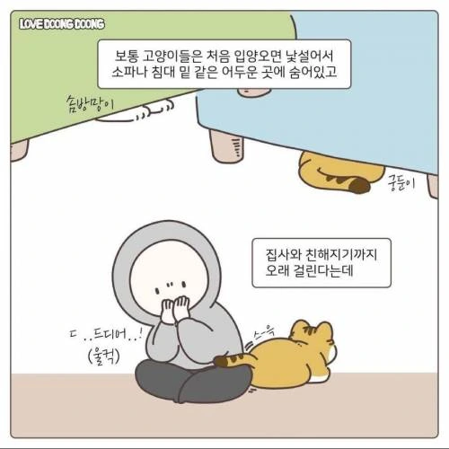 manga_1086074_002.webp