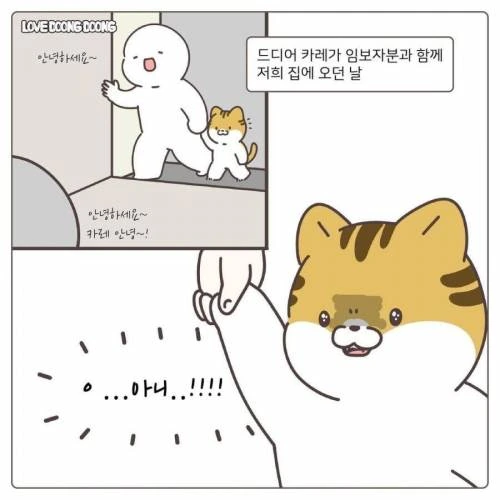 manga_1086074_005.webp