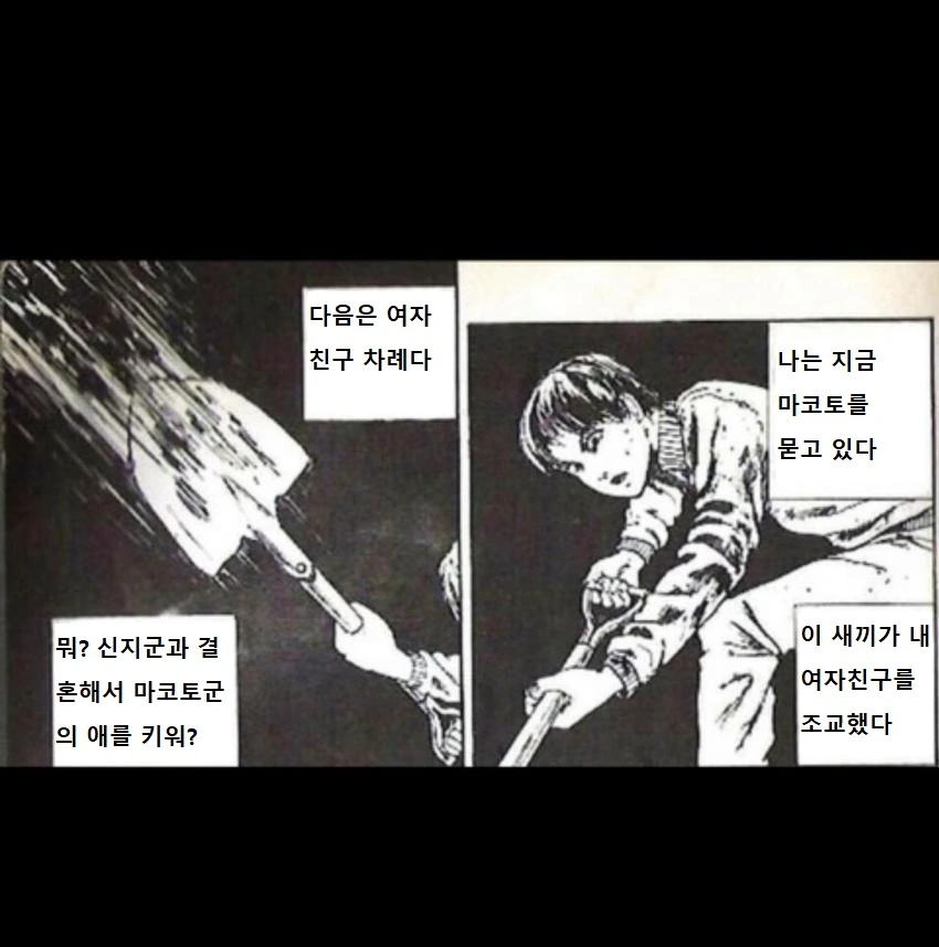 당신의 말딸을 선택하세요...!.manhwa 이미지 3
