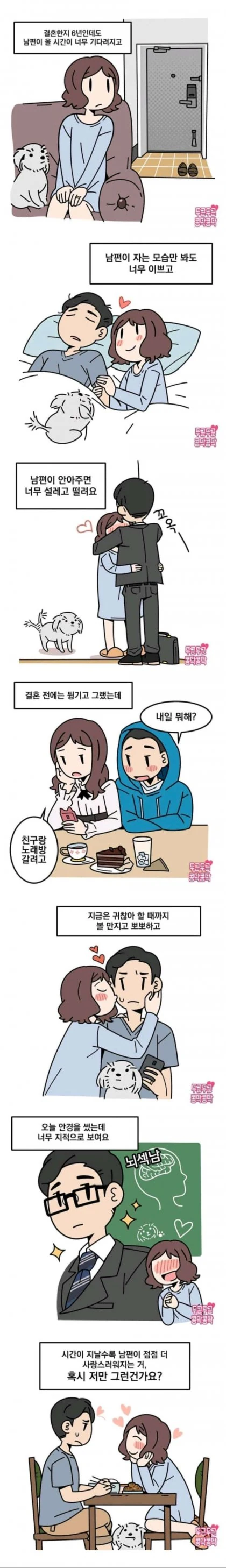 토가시 만화 캐릭터가 좋아하는것 대표 이미지
