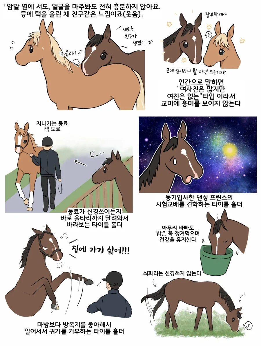 티라미의 야동 취향을 알 수 있었던 장면 대표 이미지