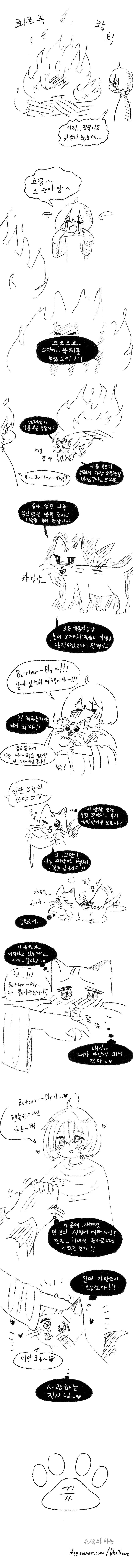 고양이를 산제물로 바치는.manhwa - 이미지 2