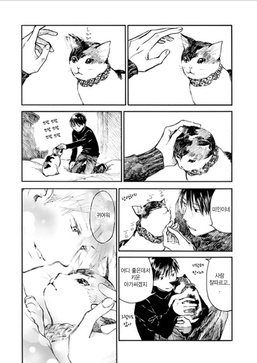 여친이 고양이로 변한 만화.manwha - 이미지 3