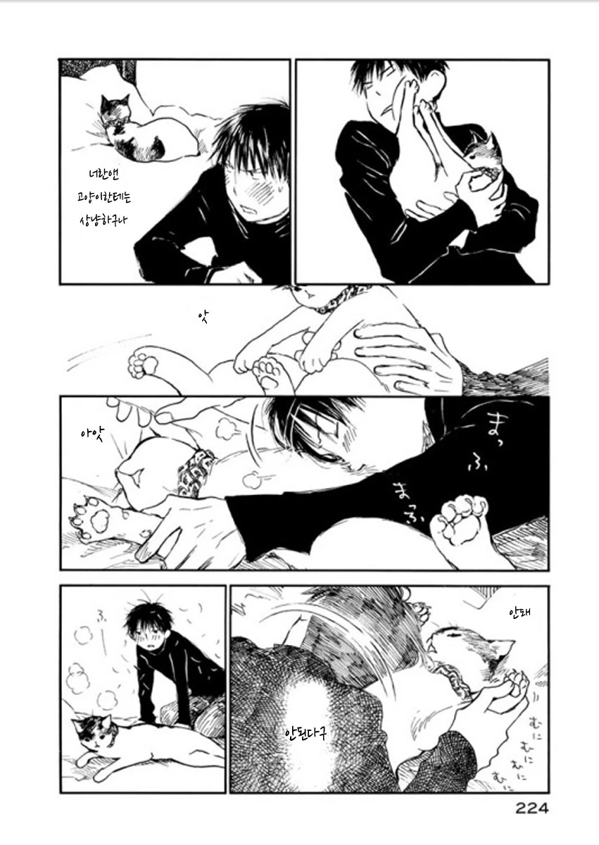 여친이 고양이로 변한 만화.manwha - 이미지 4