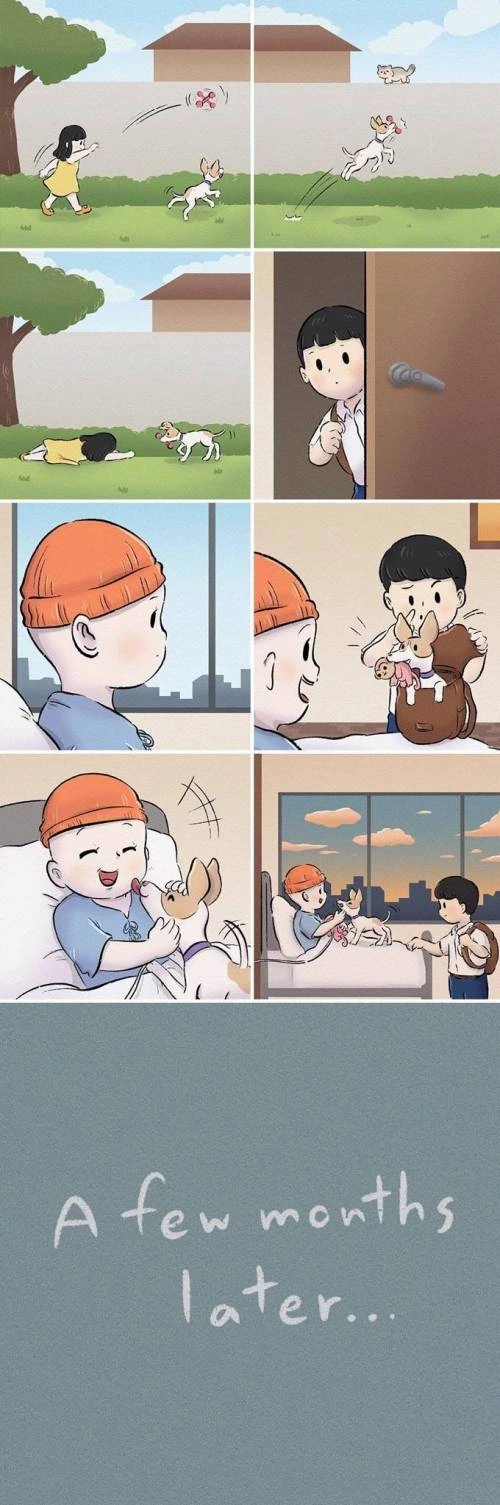 강아지 키우는 만화 manhwa - 이미지 2