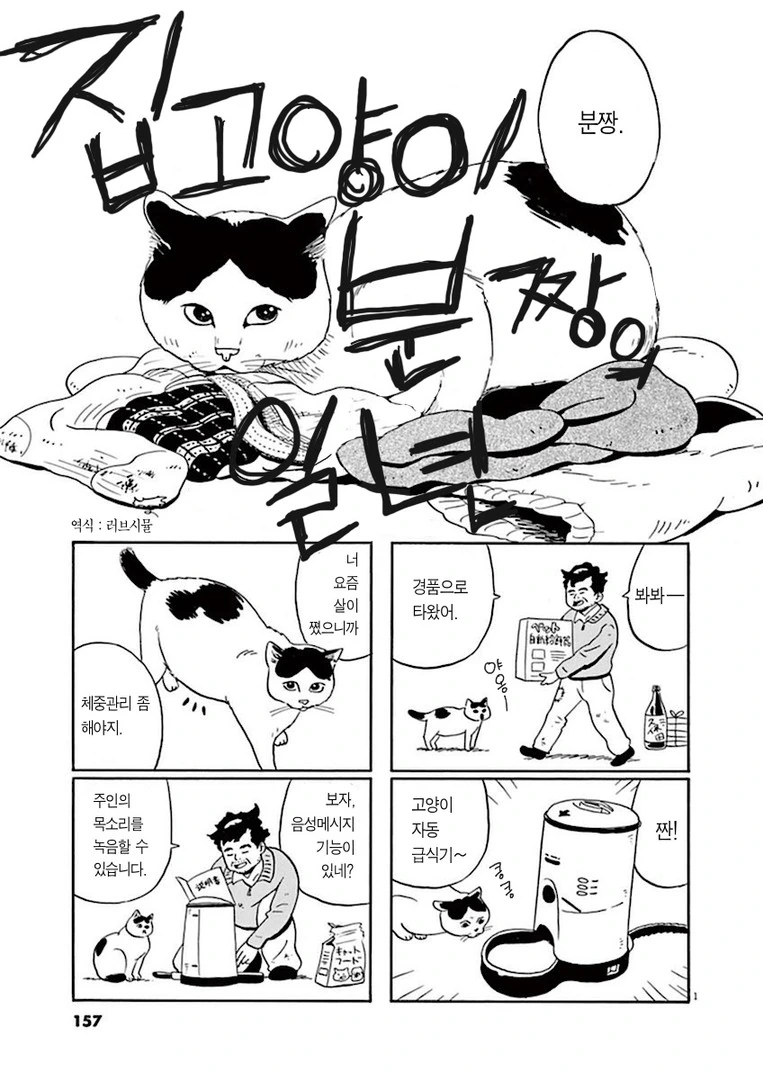 집고양이 분짱의 일년.Manhwa