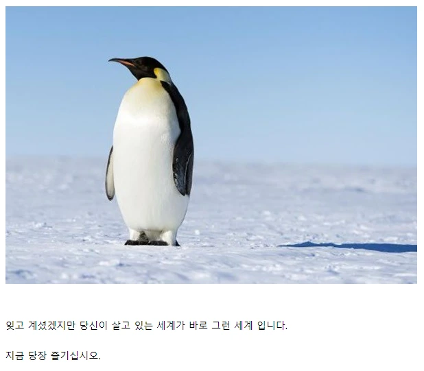 건담) 그돈씨.jpg 이미지 3