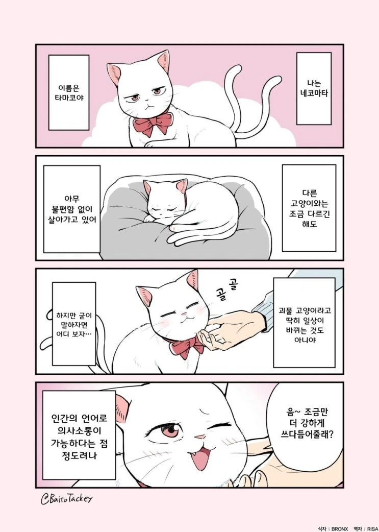 꼬리두개달린 고양이 만화