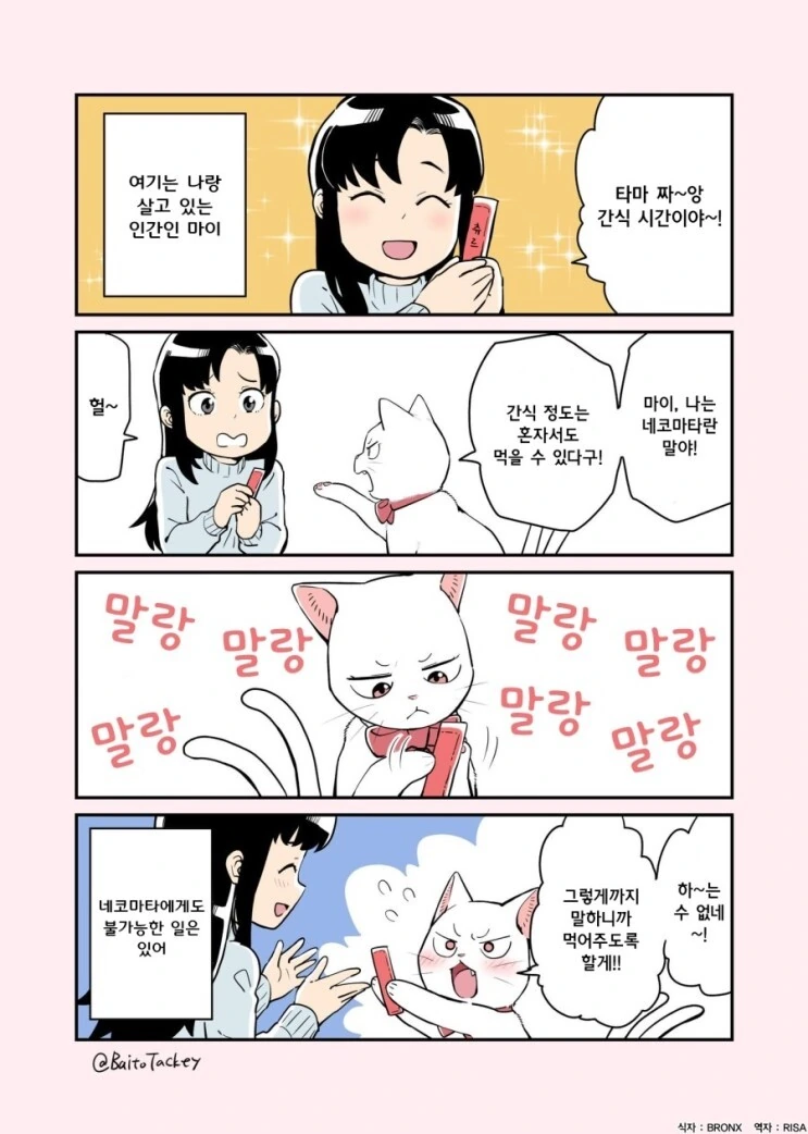 꼬리두개달린 고양이 만화 - 이미지 3