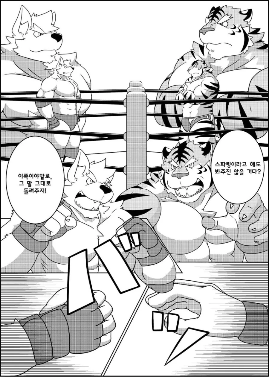 퍼리같고 ㅎㅁ같지만 평범한 레슬링 manhwa - 이미지 2