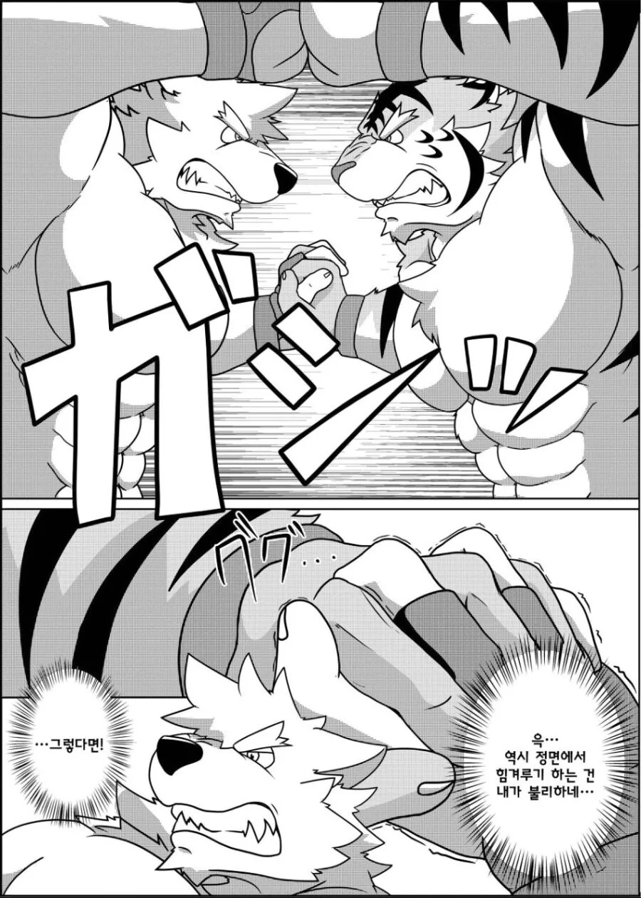 퍼리같고 ㅎㅁ같지만 평범한 레슬링 manhwa - 이미지 3