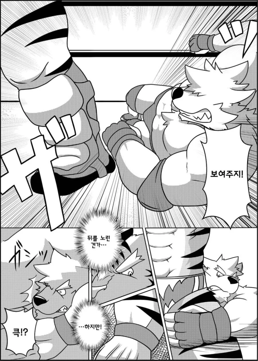 퍼리같고 ㅎㅁ같지만 평범한 레슬링 manhwa - 이미지 6