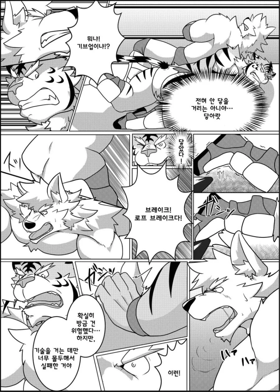 퍼리같고 ㅎㅁ같지만 평범한 레슬링 manhwa - 이미지 13
