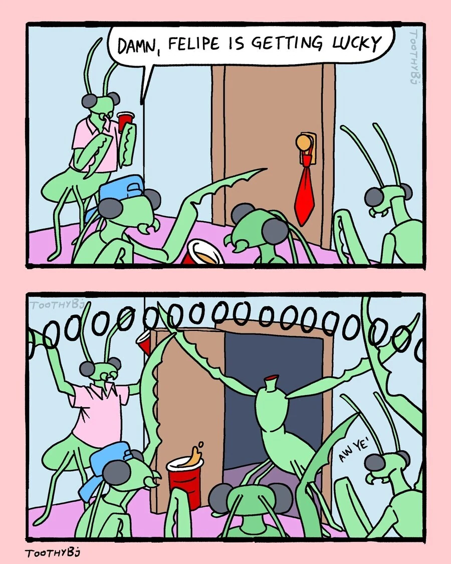 나를 괴롭히는 일진녀 만화.MANGA 대표 이미지