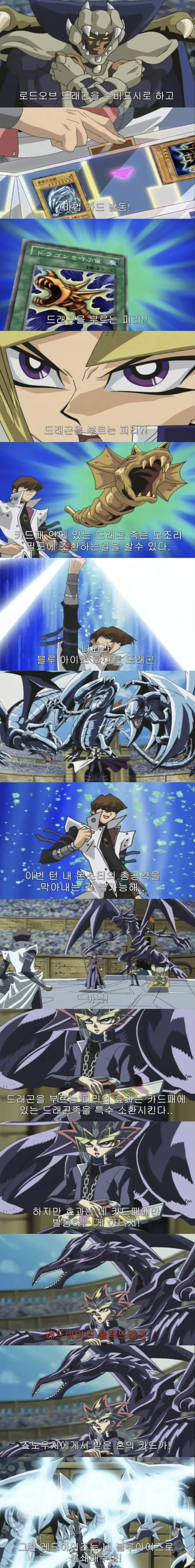 브라질 타츠마키 이미지 2